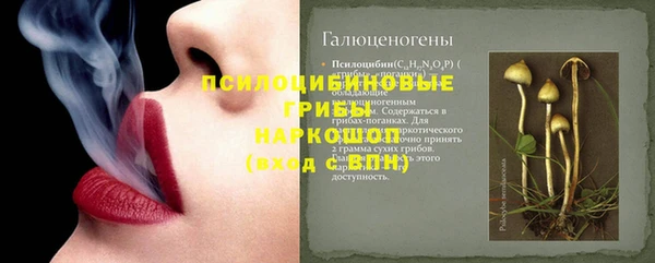 прущие грибы Алексеевка