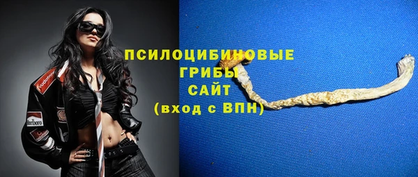 прущие грибы Алексеевка