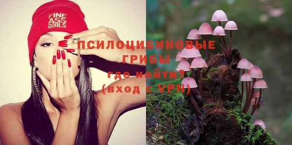 ГАЛЛЮЦИНОГЕННЫЕ ГРИБЫ Алзамай